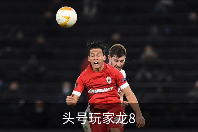 头号玩家龙8公司简介图片